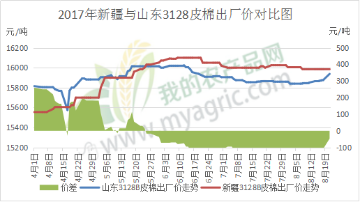 山东皮棉最新价格动态分析与趋势预测