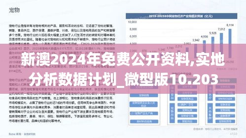 新澳2024年精准资料,快速设计问题方案_Ultra41.253