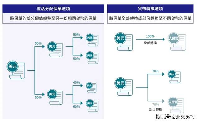 444499999香港开奖｜系统总结的落实方案解析