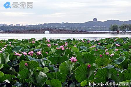 最新西湖一日游费用全解析，深度探讨旅游费用构成与预算策略